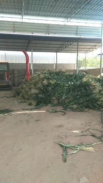 村里一家专门加工秸秆的工厂,看起来虽然很破,但是一年能赚五十万以上